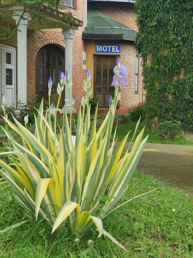 Motel Zoka Dvorovi Exterior photo